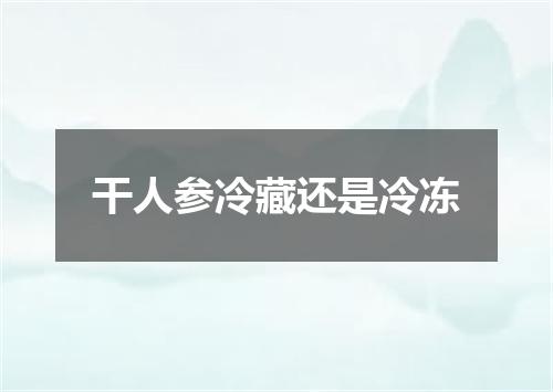 干人参冷藏还是冷冻