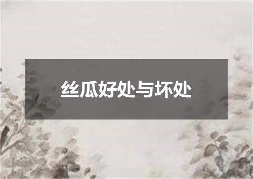 丝瓜好处与坏处