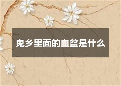 鬼乡里面的血盆是什么