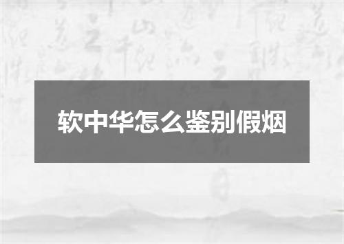 软中华怎么鉴别假烟