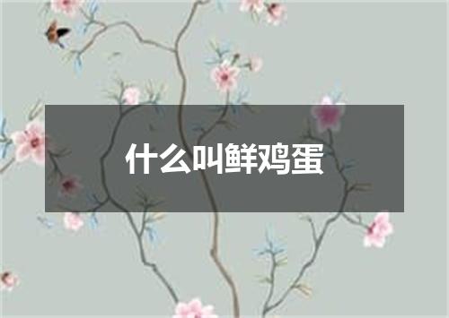 什么叫鲜鸡蛋