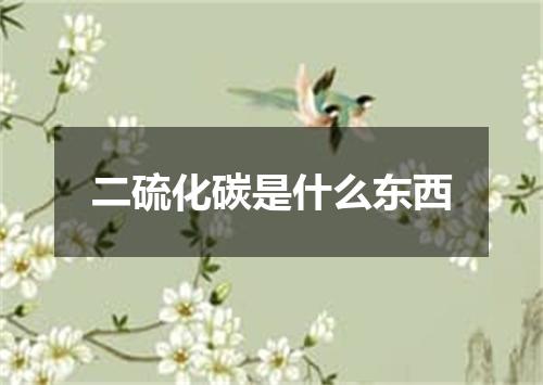 二硫化碳是什么东西