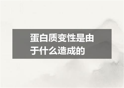 蛋白质变性是由于什么造成的