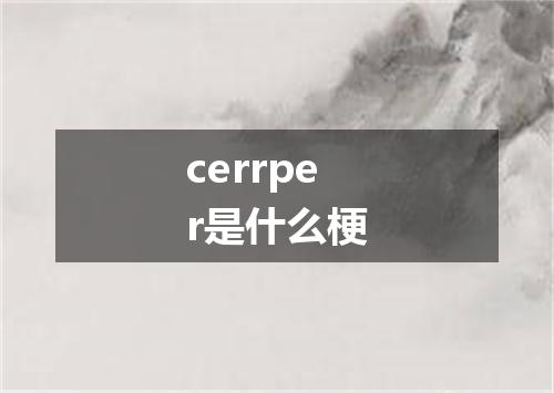 cerrper是什么梗