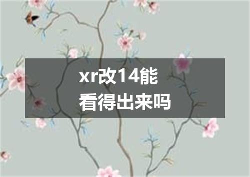 xr改14能看得出来吗