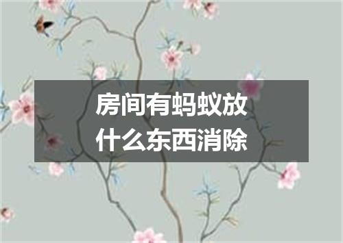 房间有蚂蚁放什么东西消除