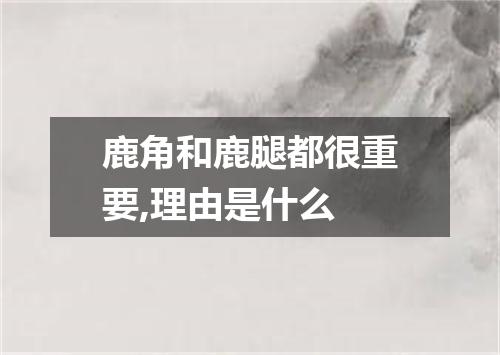 鹿角和鹿腿都很重要,理由是什么