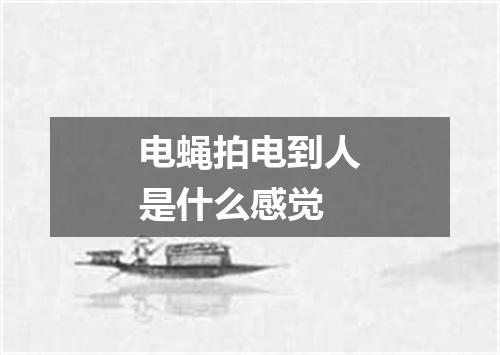 电蝇拍电到人是什么感觉