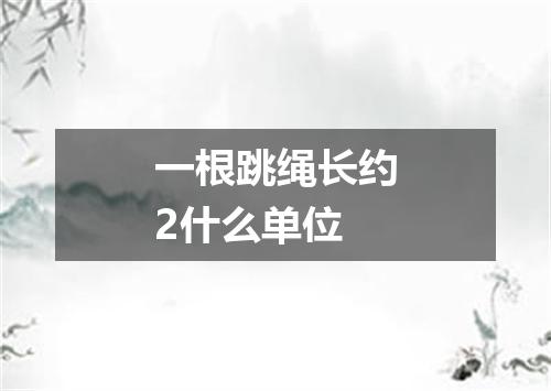 一根跳绳长约2什么单位