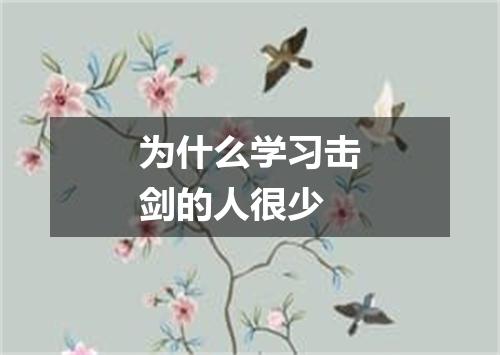 为什么学习击剑的人很少