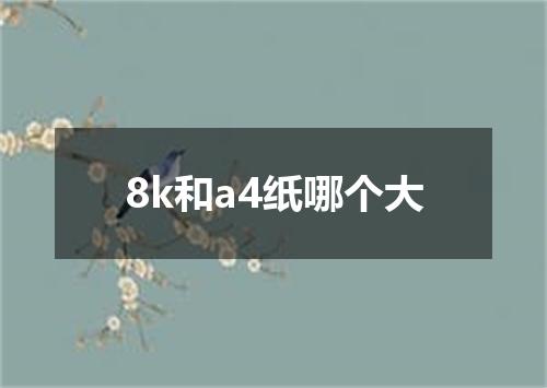 8k和a4纸哪个大