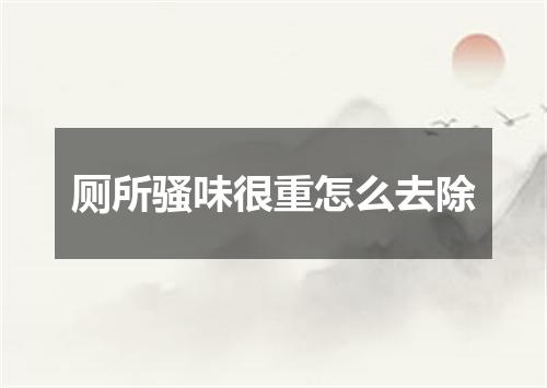 厕所骚味很重怎么去除