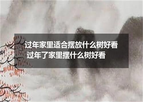 过年家里适合摆放什么树好看 过年了家里摆什么树好看