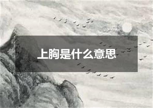 上胸是什么意思