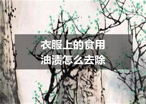 衣服上的食用油渍怎么去除