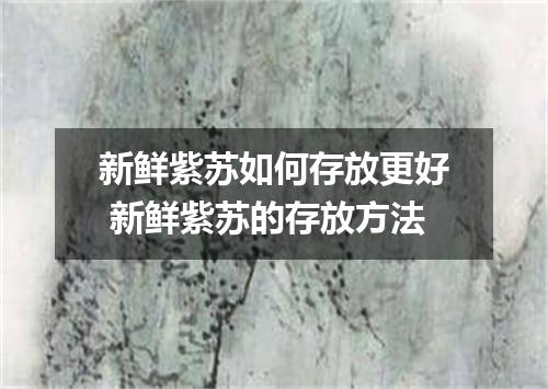 新鲜紫苏如何存放更好 新鲜紫苏的存放方法