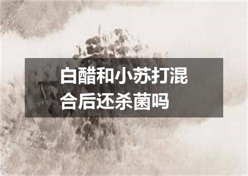 白醋和小苏打混合后还杀菌吗