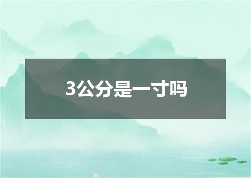 3公分是一寸吗