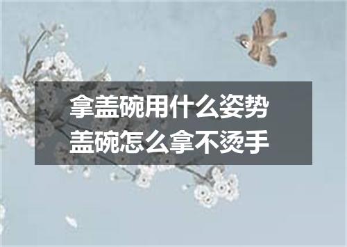 拿盖碗用什么姿势 盖碗怎么拿不烫手
