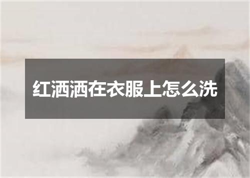 红洒洒在衣服上怎么洗