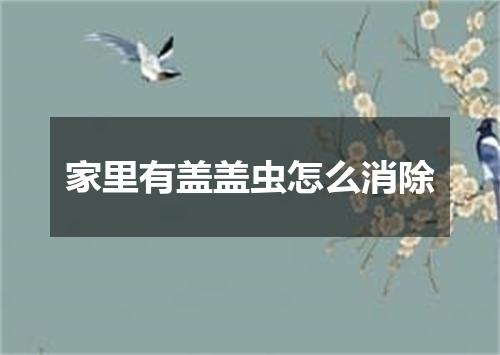 家里有盖盖虫怎么消除