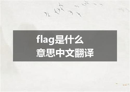 flag是什么意思中文翻译
