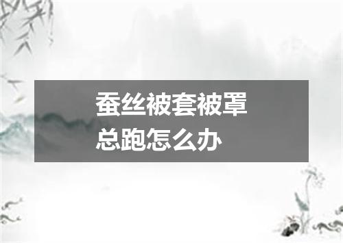 蚕丝被套被罩总跑怎么办