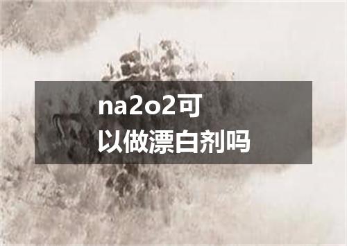 na2o2可以做漂白剂吗