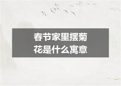 春节家里摆菊花是什么寓意