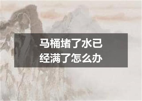 马桶堵了水已经满了怎么办