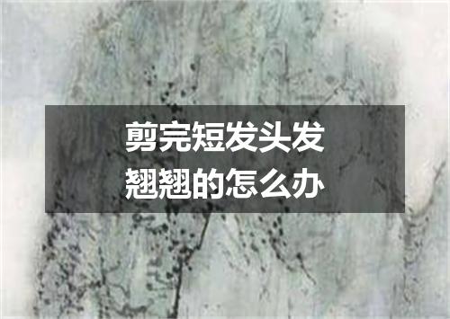 剪完短发头发翘翘的怎么办