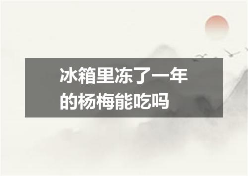 冰箱里冻了一年的杨梅能吃吗