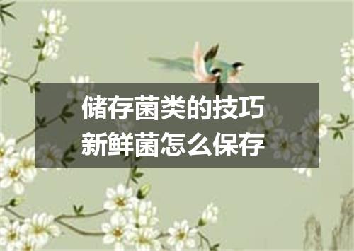 储存菌类的技巧 新鲜菌怎么保存