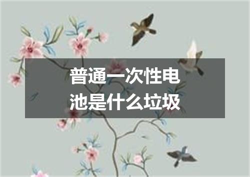 普通一次性电池是什么垃圾