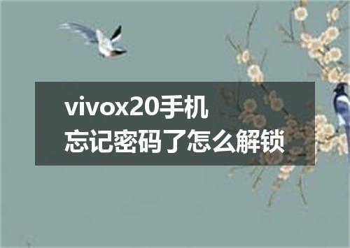 vivox20手机忘记密码了怎么解锁