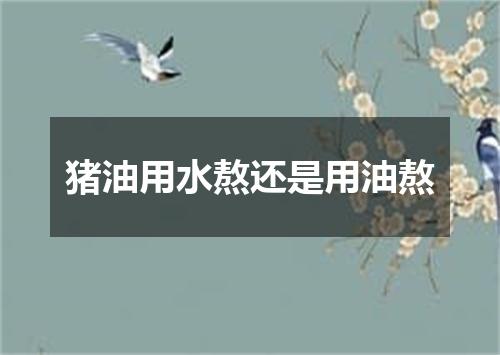 猪油用水熬还是用油熬