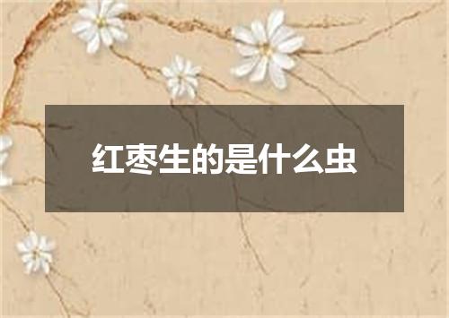 红枣生的是什么虫