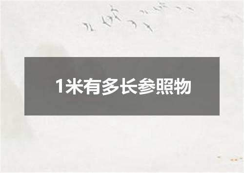 1米有多长参照物
