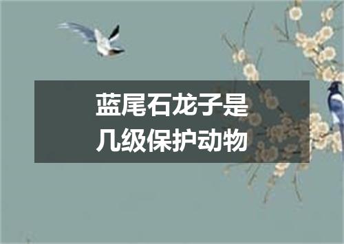 蓝尾石龙子是几级保护动物
