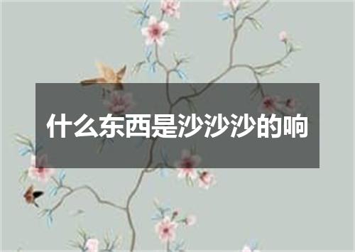 什么东西是沙沙沙的响