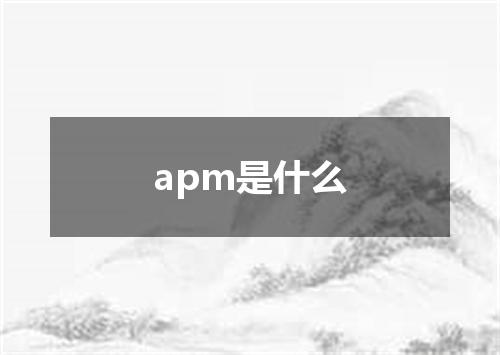 apm是什么