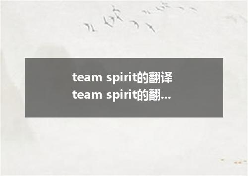 team spirit的翻译 team spirit的翻译是什么