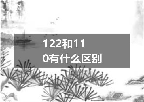 122和110有什么区别