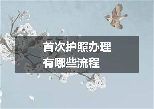 首次护照办理有哪些流程