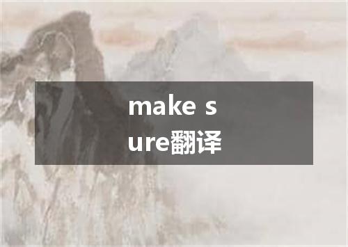 make sure翻译