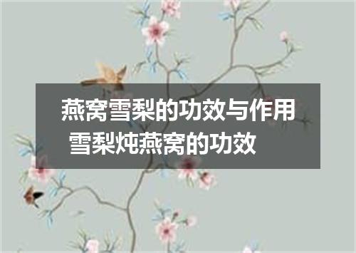 燕窝雪梨的功效与作用 雪梨炖燕窝的功效