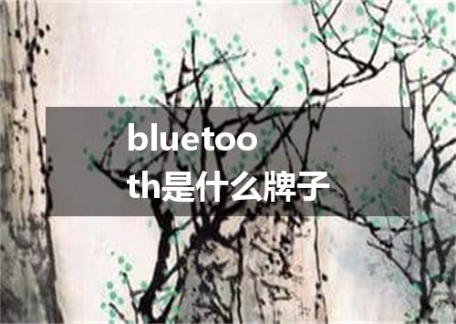 bluetooth是什么牌子