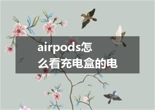 airpods怎么看充电盒的电