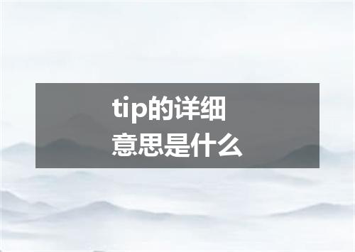 tip的详细意思是什么