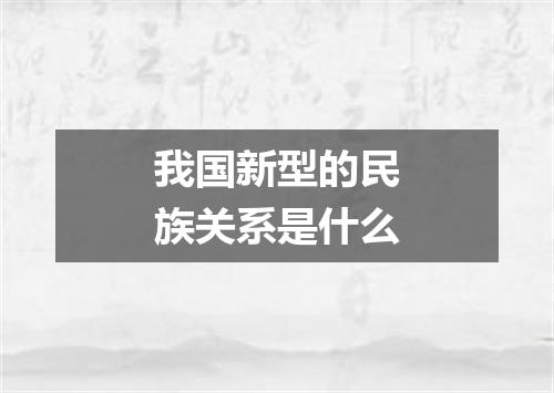 我国新型的民族关系是什么
